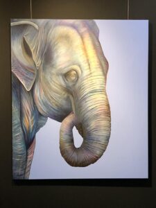 Silvia Mende: Gruppenausstellung Pop-Up-Galerie Erlenbach (2020)